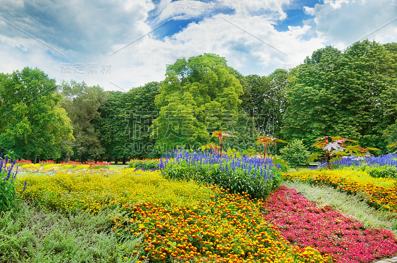 夏日公园，美丽的花坛和天空