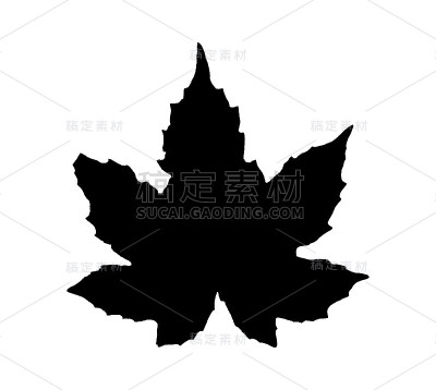 绿色的叶子