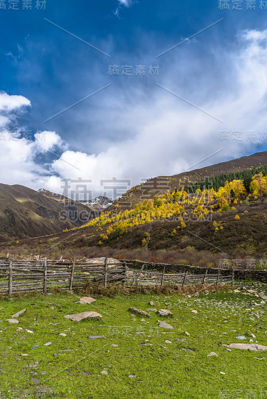 草山，灌木，景观