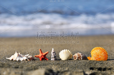 贝壳