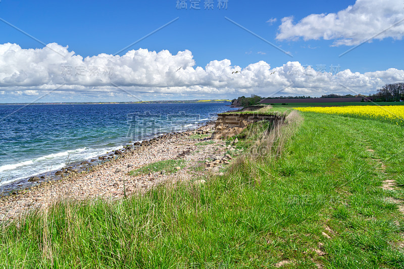 在Ven岛海岸线，斯坎，瑞典的海景