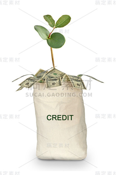袋与信贷