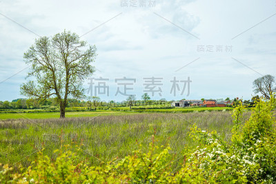 春天阳光明媚的英国农场
