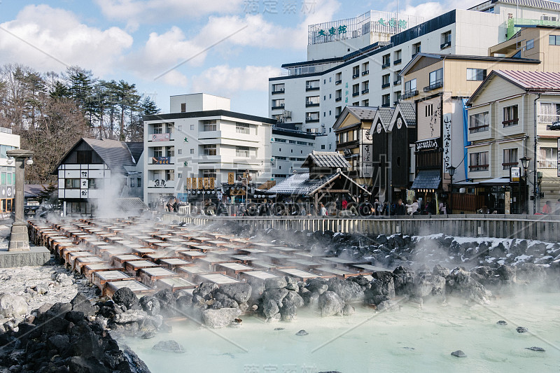 日本群马古松