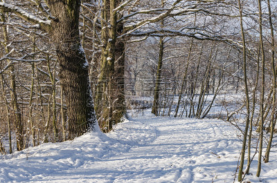 winterliche景色