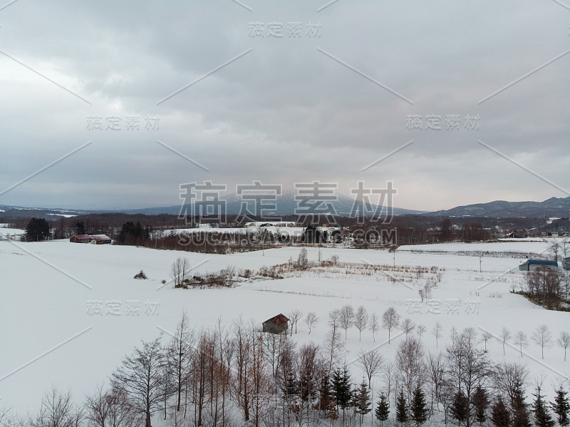 冬天的风景照片，雪覆盖的田野和村舍与光秃秃的树木在前景和雄伟的Yotei山在背景