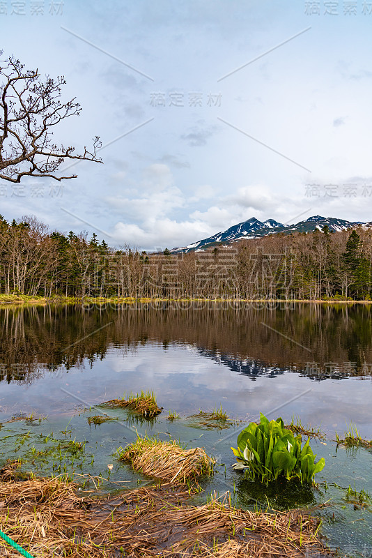 知床五湖地区的第五湖。自然美丽的风景