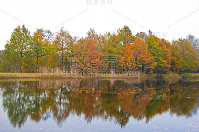 秋天景色