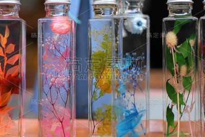 瓶子里的植物，草药，