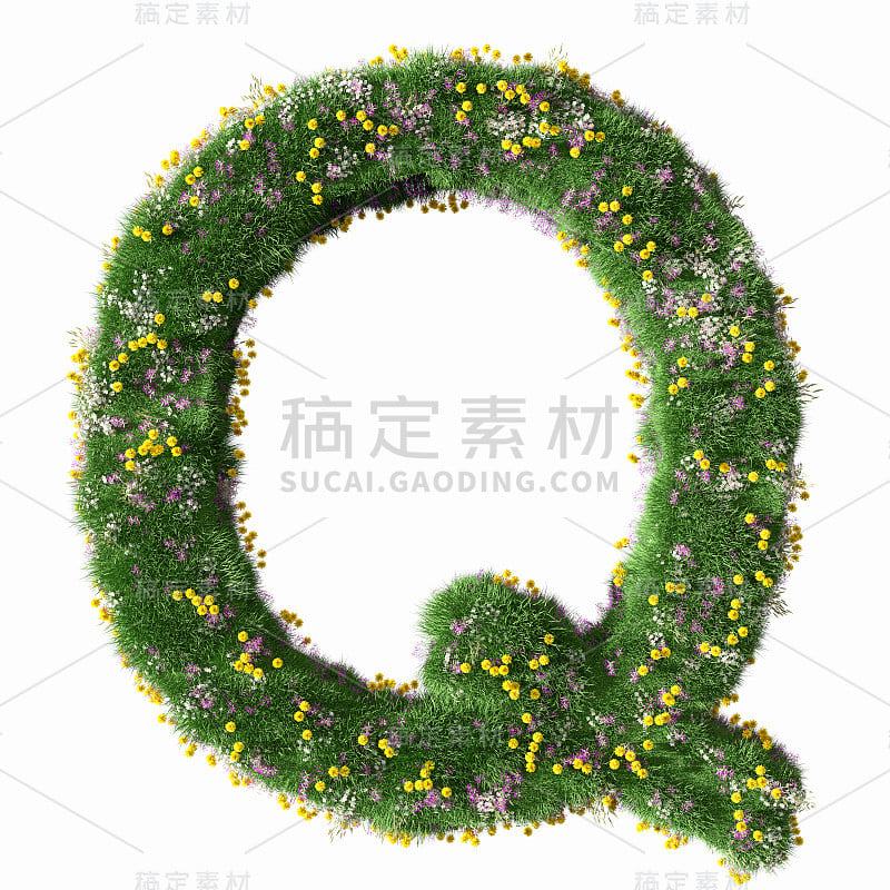 字母Q上的花草地