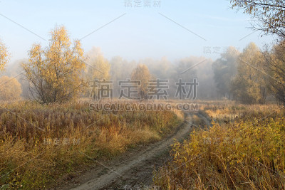 西伯利亚森林里一个寒冷的秋日早晨