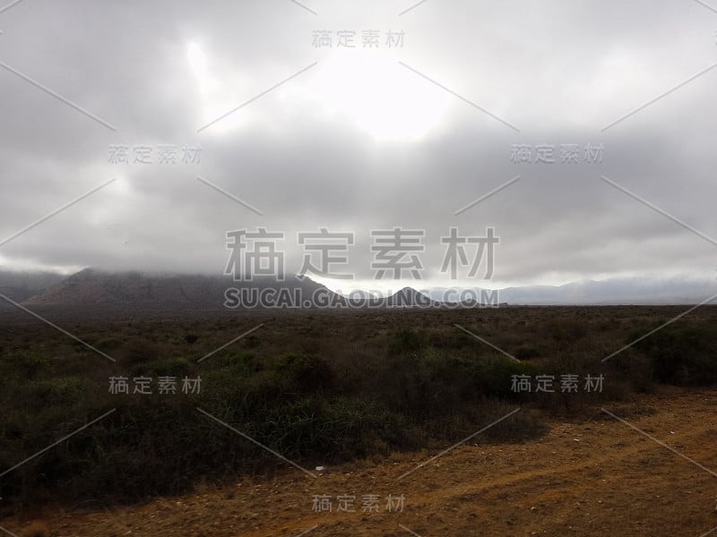 东乌桑巴拉山和坦桑尼亚的尼罗森林保护区。萨凡纳。东非的野生自然