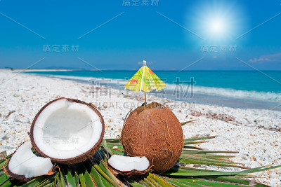 夏日与椰子