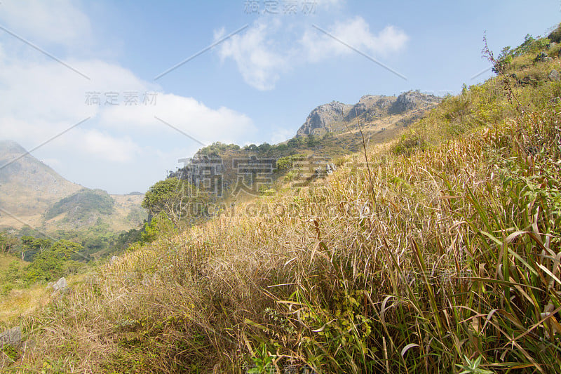 草甸森林和山地