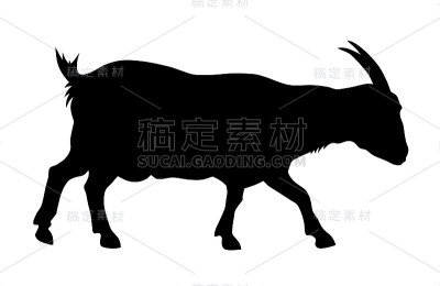 山羊