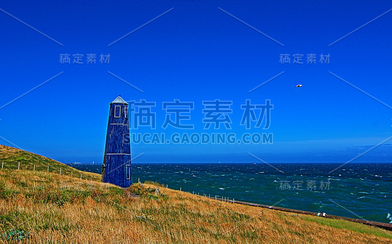 多佛悬崖上的海菲尔霍塔上的海鸥