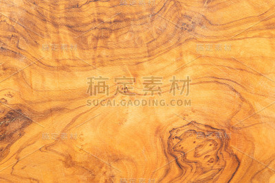 橄榄树木背景纹理