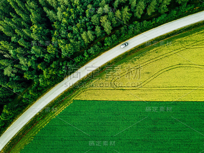 汽车沿着绿色的森林和土豆与黄色的油菜籽田的道路行驶的鸟瞰图