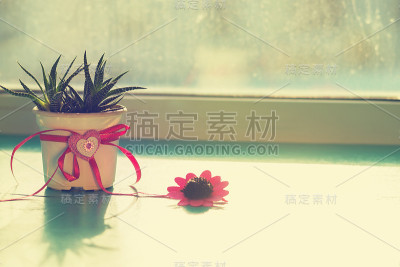 情人节-仙人掌与心的象征
