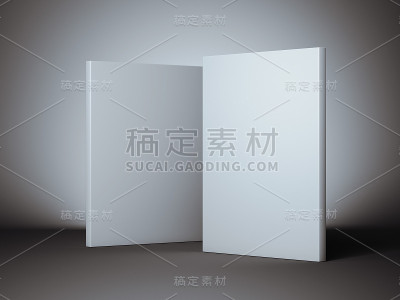 两个白色盒子。三维渲染