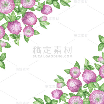 三叶草frame.jpg