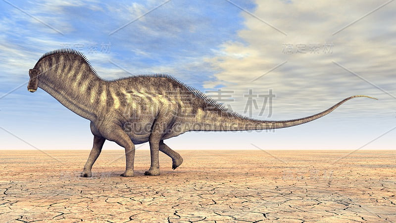 恐龙Amargasaurus