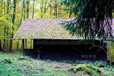 Nussloch附近森林里的废弃小屋