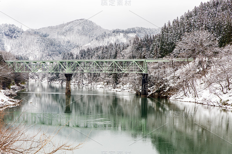 火车在冬季景观雪