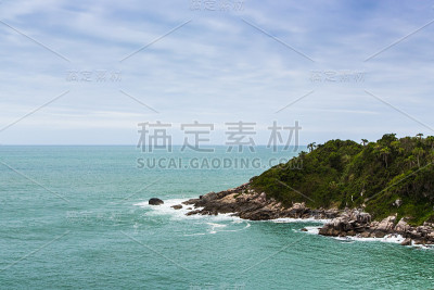 oec ?不