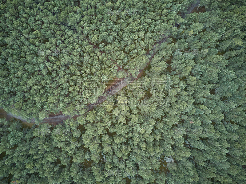 鸟瞰库尔尼沙口