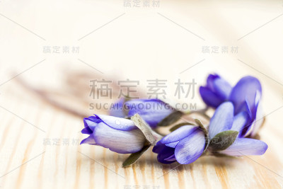 木质背景下的贵族肝片