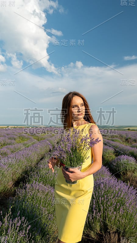 薰衣草田上的美丽年轻女子