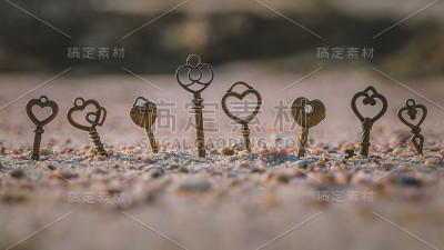 的照片