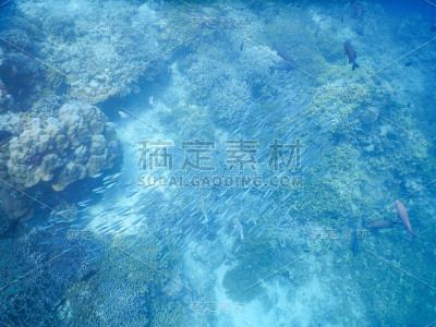 海的背景
