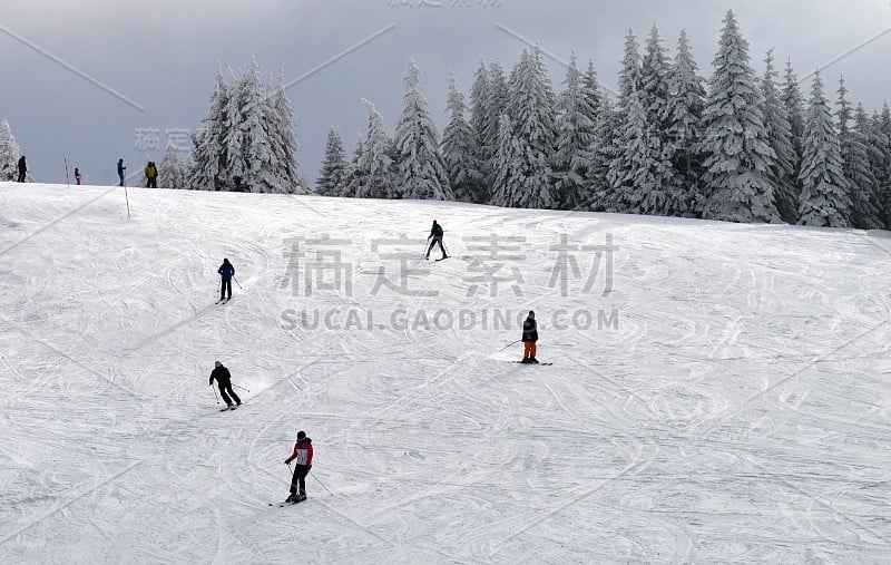 山上小径上的滑雪者