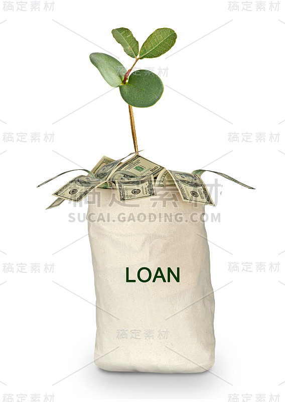 袋与贷款