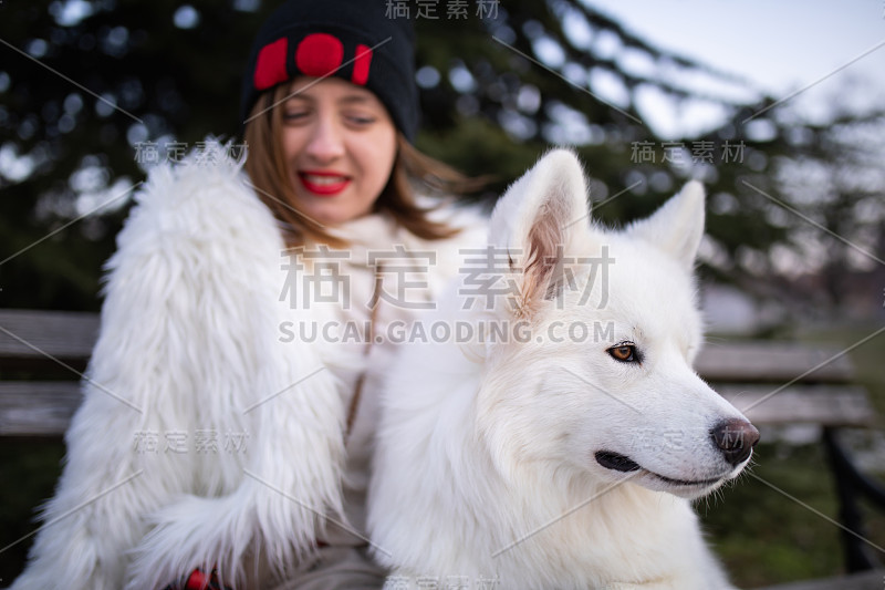 一个女孩在看她的宠物狗的照片