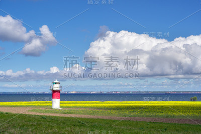灯塔和一片油菜地在瑞典南部，Ven岛