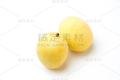 白色的杏