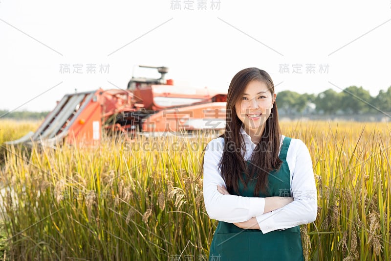 年轻的亚洲女性农学家在金色的田野