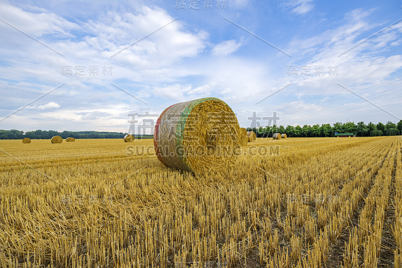 在Krefeld/ Germany的Harvest已经快结束了