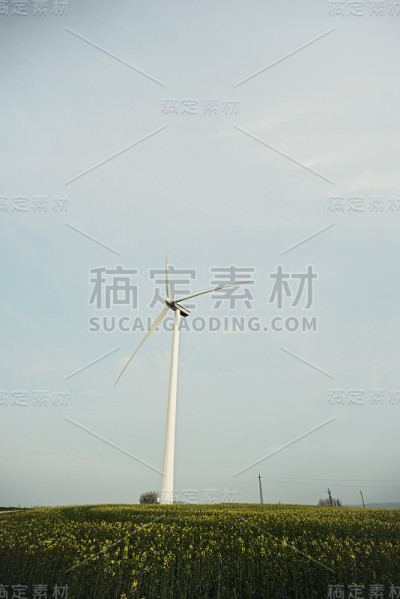 风车在场上，可再生能源