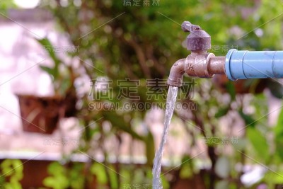 在模糊的绿叶背景下，水从旧的钢制水龙头流出