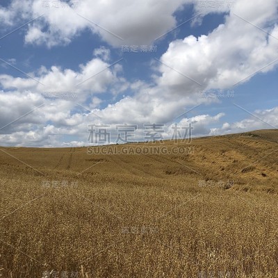 风景到孔波斯特拉，卡米诺圣地亚哥，西班牙