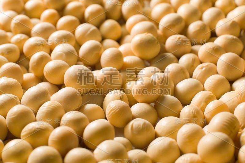 我是bean