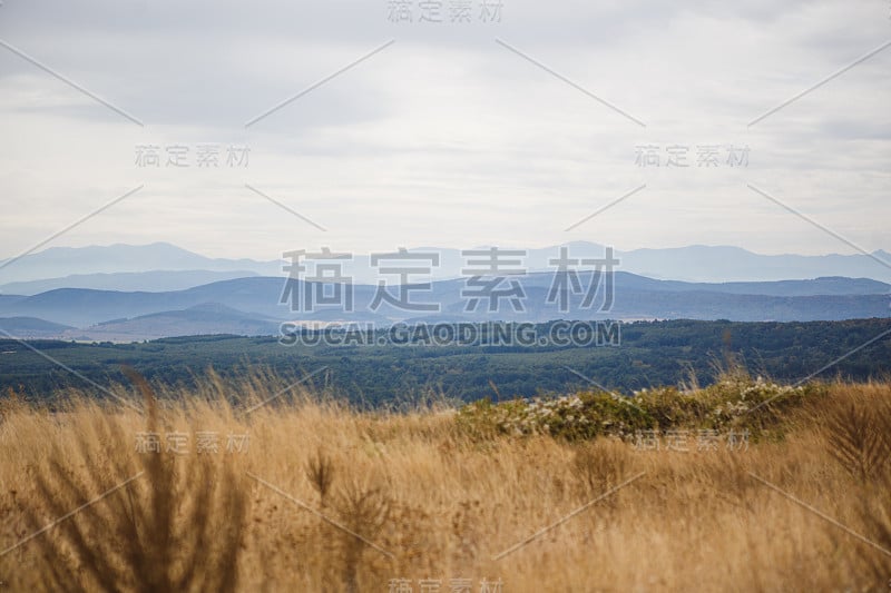 田野上枯黄的草映衬着蓝天和地平线上的群山。