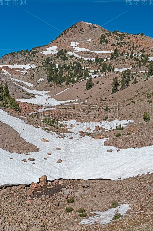 贫瘠的岩石和挣扎中的树木在火山景观