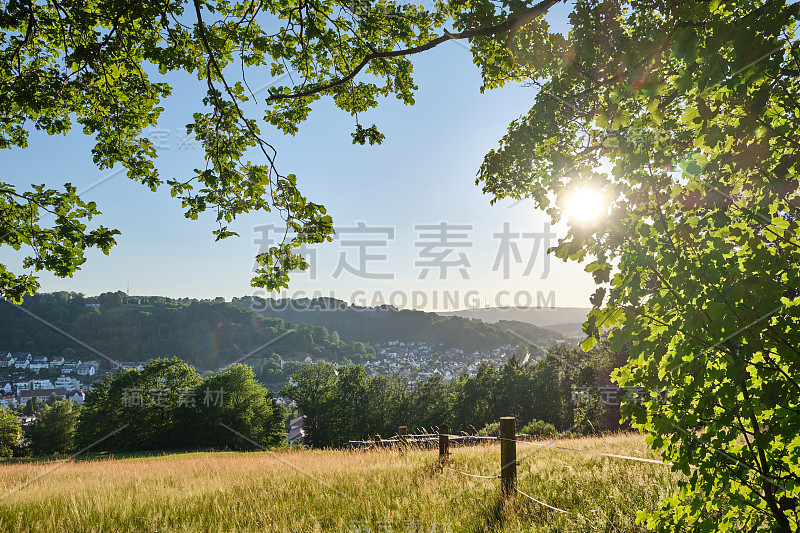 美丽的风景进入德国乡村夏季景观