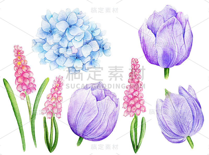水彩集