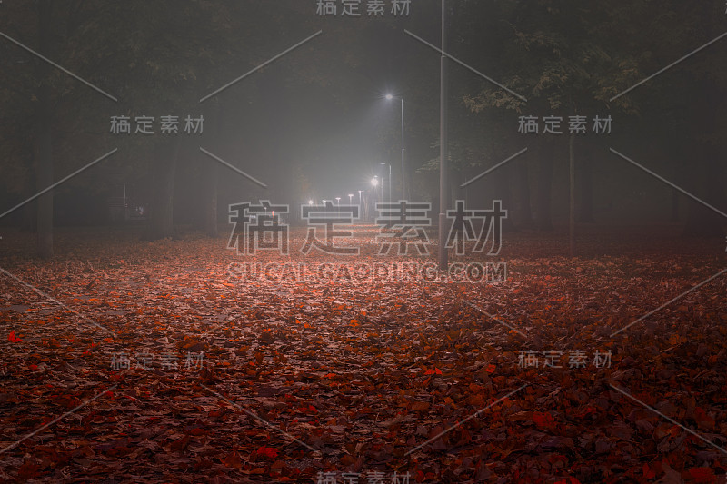 晚上的红叶公园大道